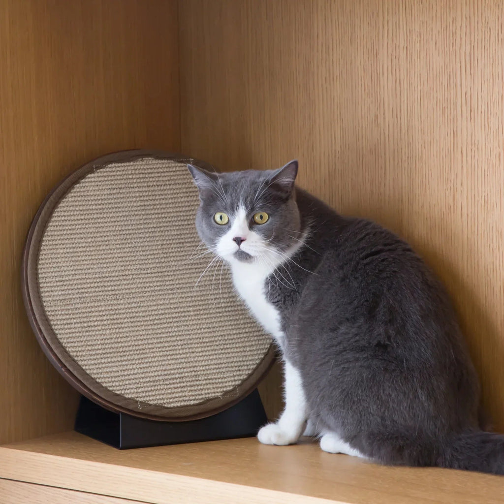 Mooncake Cat Scratch Pad - House Of Pets Delight (HOPD)