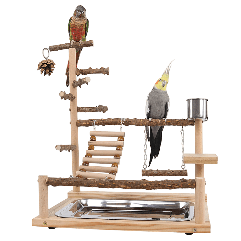 Natural Wooden Bird Play Stand - Multi - Level Parrot Perch with Toys & Ladder - House Of Pets Delight (HOPD)