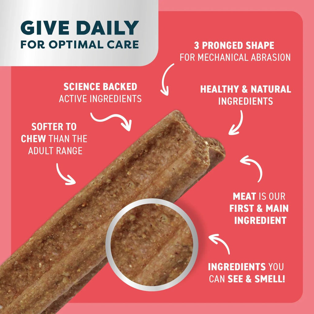 Puppy Dental Chews - Beef and Coconut - House Of Pets Delight (HOPD)