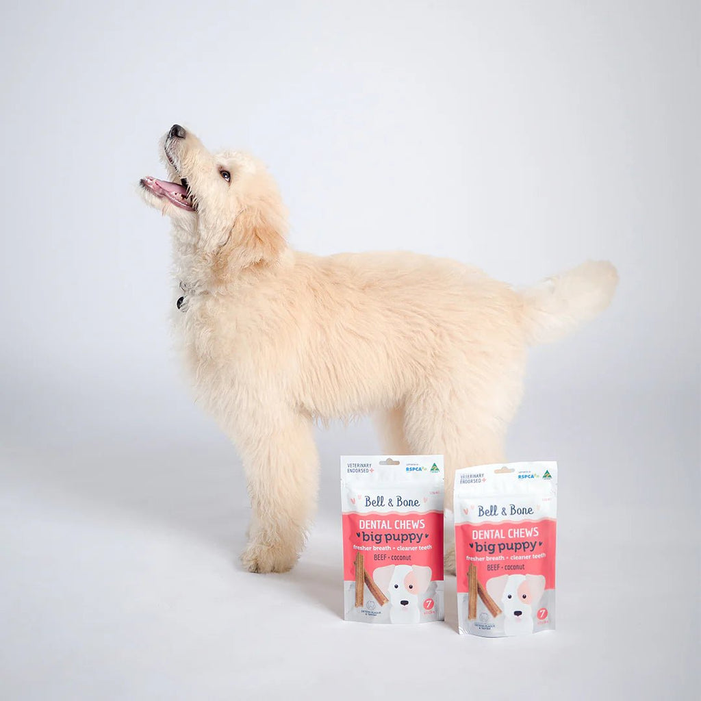 Puppy Dental Chews - Beef and Coconut - House Of Pets Delight (HOPD)