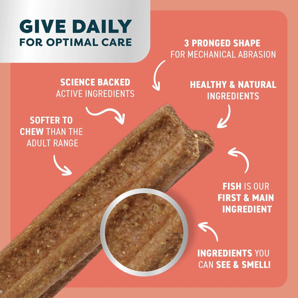 Puppy Dental Chews - Salmon and Carrot - House Of Pets Delight (HOPD)