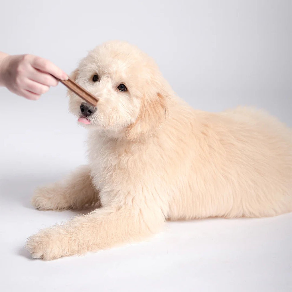 Puppy Dental Chews - Salmon and Carrot - House Of Pets Delight (HOPD)