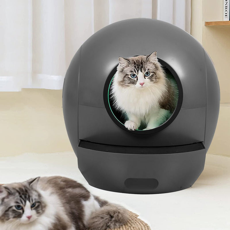 Smart Cat Litter Box Self - Cleaning Enclosed - Black - House Of Pets Delight (HOPD)