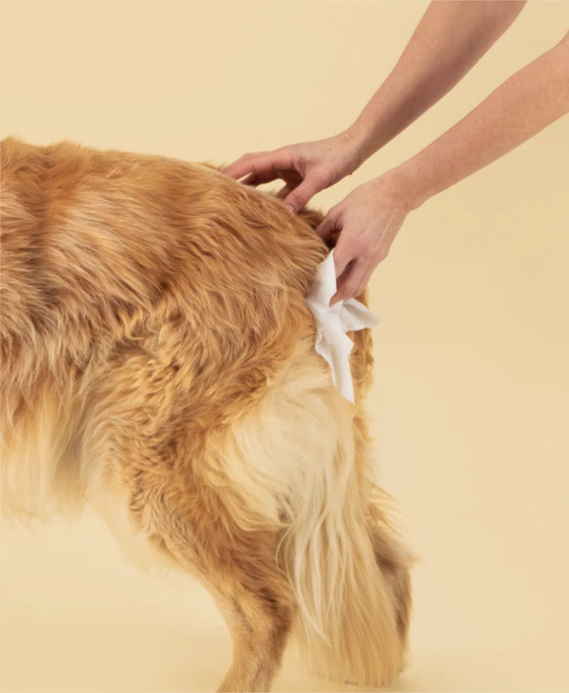 Squeaky – Probiotic Pet Wipes – Scented - House Of Pets Delight (HOPD)