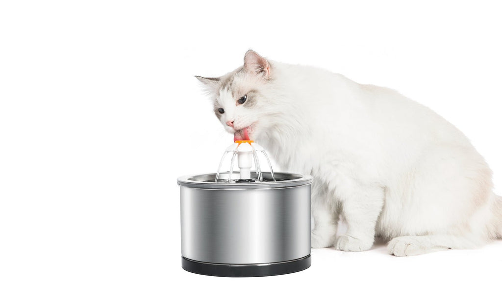 Stainless Steel Feeder Electric Pet Water Fountain - House Of Pets Delight (HOPD)