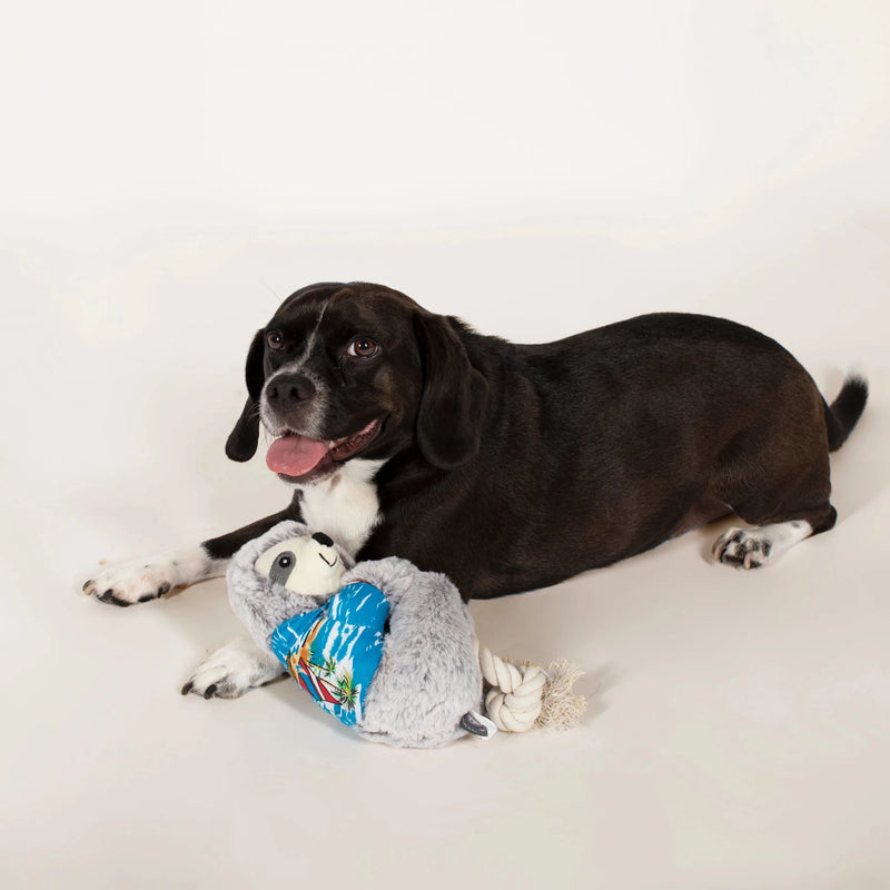 Summer Ray The Sloth Dog Toy - House Of Pets Delight (HOPD)