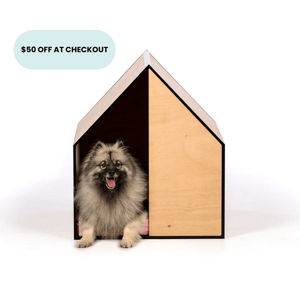 The Dog Room in Medium - House Of Pets Delight (HOPD)