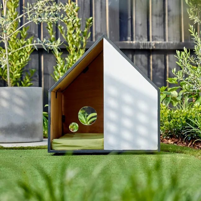 The Dog Room in Medium - House Of Pets Delight (HOPD)