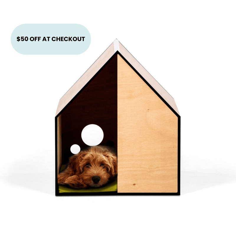 The Dog Room in Small - House Of Pets Delight (HOPD)