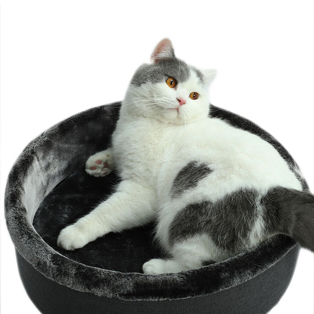 The Perch Cat Bed in Dark Grey - House Of Pets Delight (HOPD)
