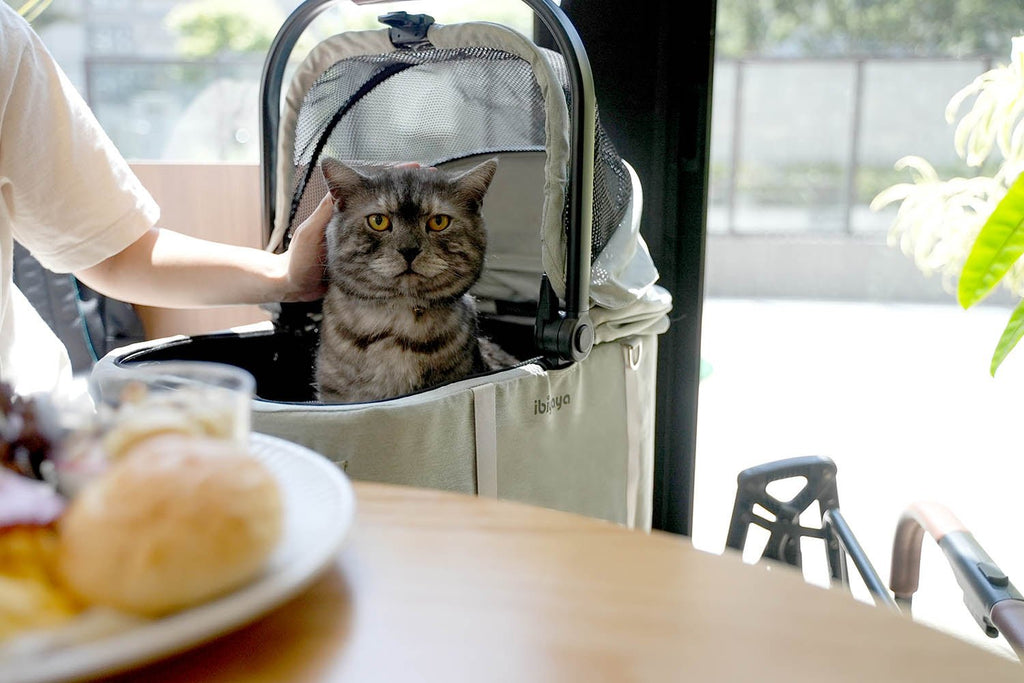 Tinker Small Detachable Pet Stroller with Cup Holder – Sage Green - House Of Pets Delight (HOPD)