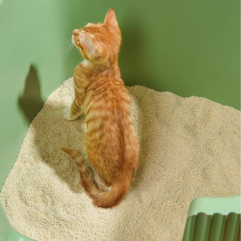 Tofu Cat Litter for Kittens and Small Animals, Natural Crushed Formula, Plant - Based & Safe if Ingested 2.5kg/6L - House Of Pets Delight (HOPD)