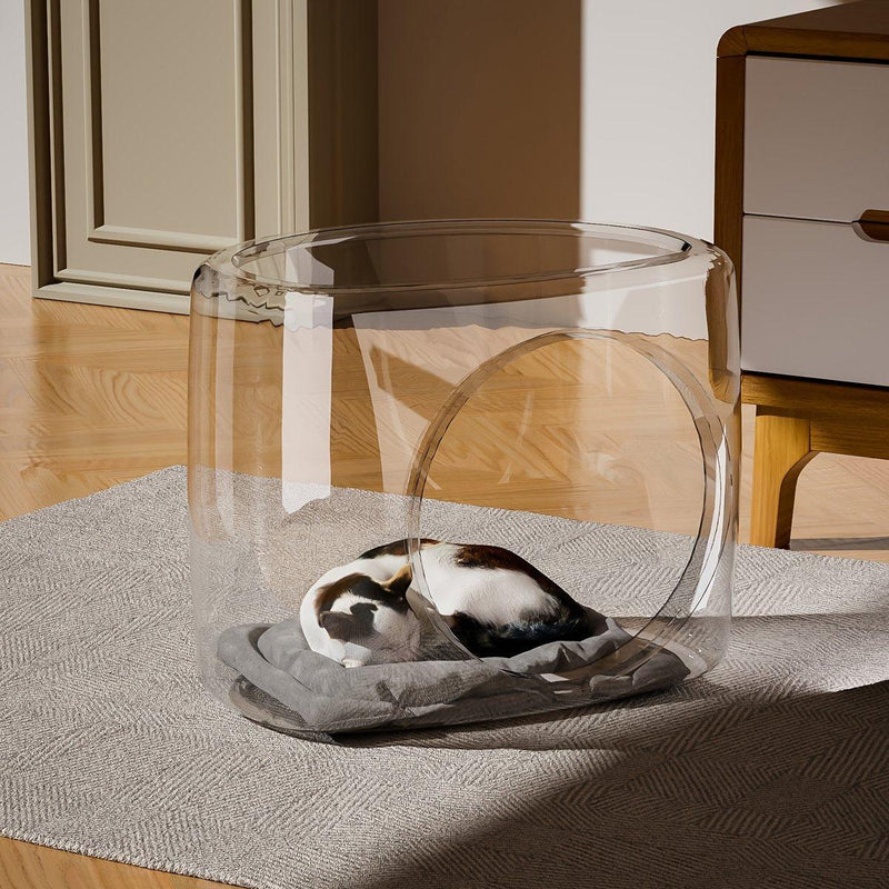 Transparent Capsule Enclosed Cat Bed - House Of Pets Delight (HOPD)