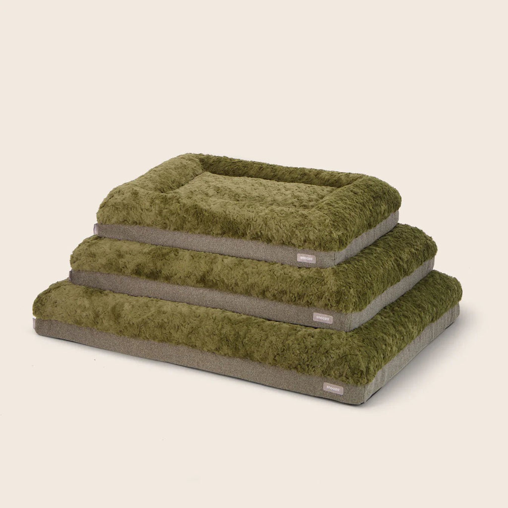 Ultra Comfort Ortho Lounge Dog Bed - Leaf - House Of Pets Delight (HOPD)