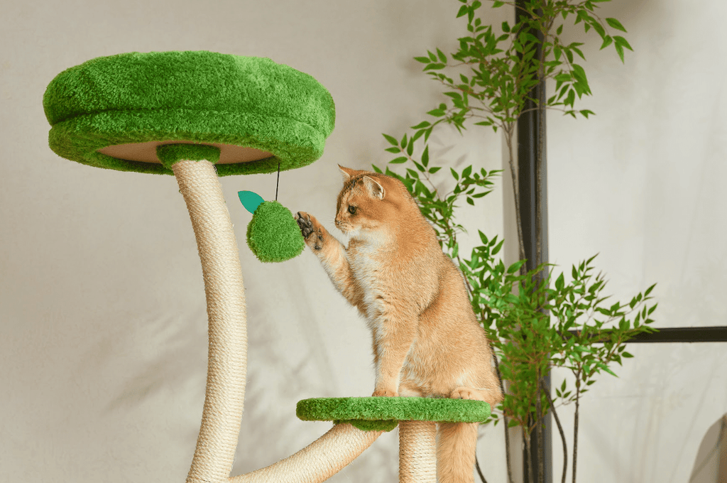 Verde Solid Wooded Base Cat Tree - House Of Pets Delight (HOPD)