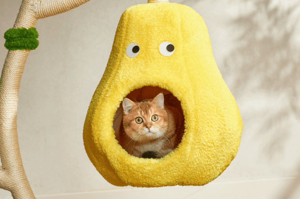 Verde Solid Wooded Base Cat Tree - House Of Pets Delight (HOPD)