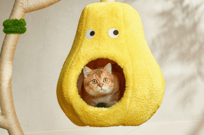 Verde Solid Wooded Base Cat Tree - House Of Pets Delight (HOPD)