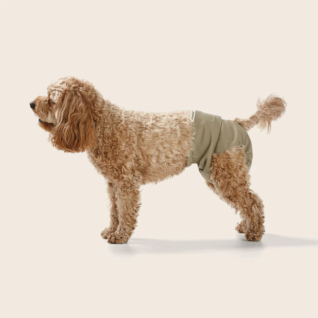 Washable Dog Nappy Band – Twin Pack for Female Dogs - House Of Pets Delight (HOPD)