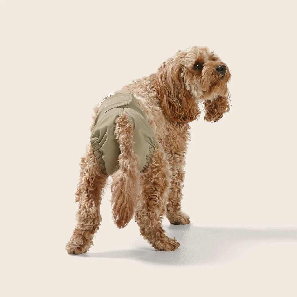 Washable Dog Nappy Band – Twin Pack for Female Dogs - House Of Pets Delight (HOPD)