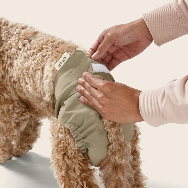 Washable Dog Nappy Band – Twin Pack for Female Dogs - House Of Pets Delight (HOPD)
