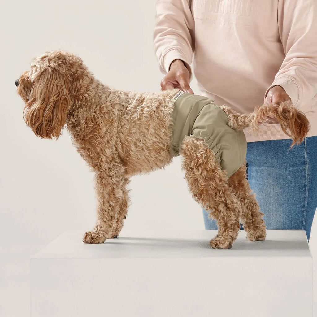 Washable Dog Nappy Band – Twin Pack for Female Dogs - House Of Pets Delight (HOPD)