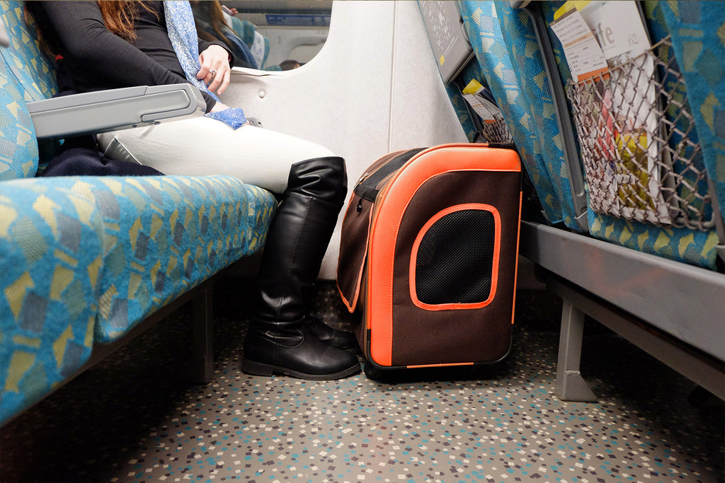 Liso Backpack Parallel Transport Pet Trolley – Slate/Sapphire