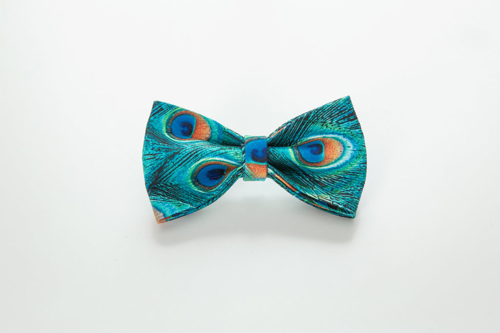 The Peacock Collar With Bow-House of Pets Delight