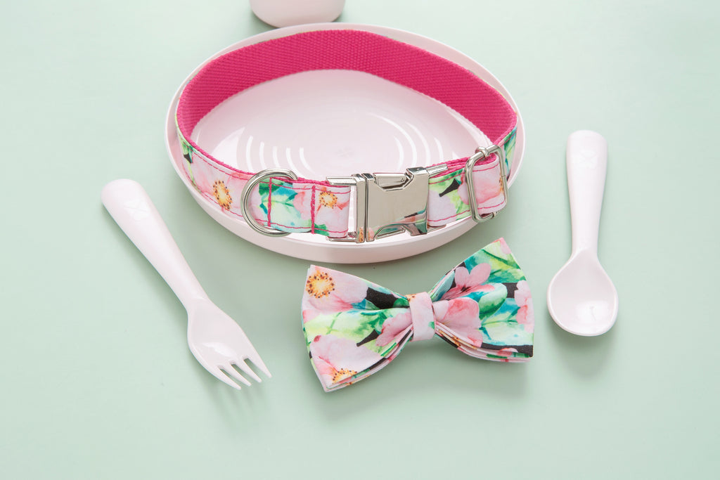 The Floral Collar With Bow-House of Pets Delight