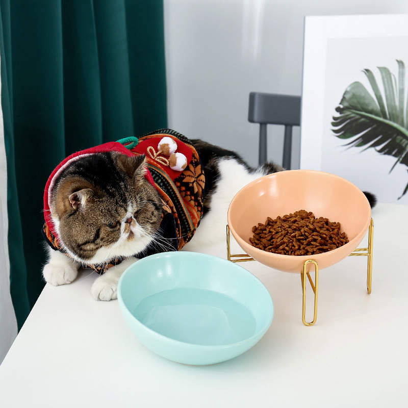 Bronze Stand Ceramic Bowl in Peach-House of Pets Delight
