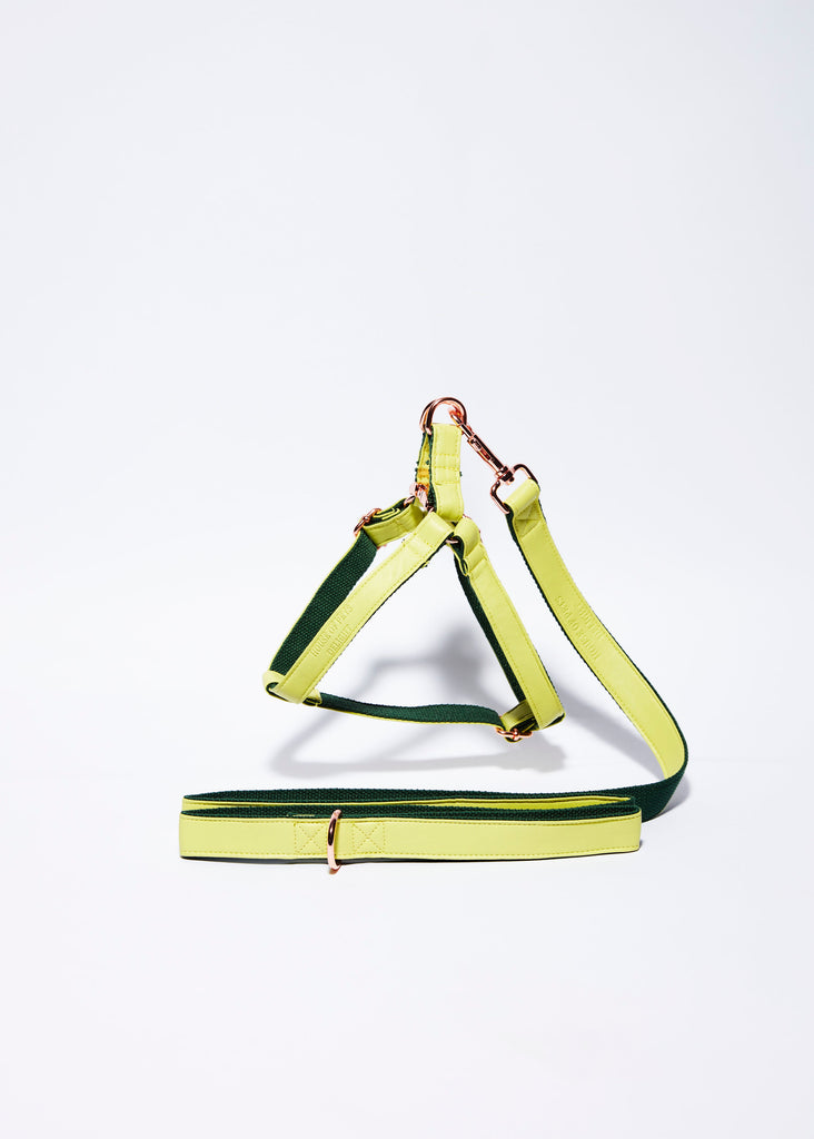'Lime' Step In Harness Set-House of Pets Delight