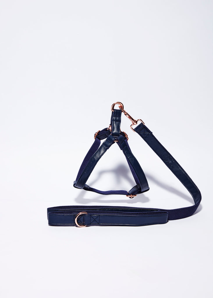 'Midnight Blue' Step In Harness Set-House of Pets Delight