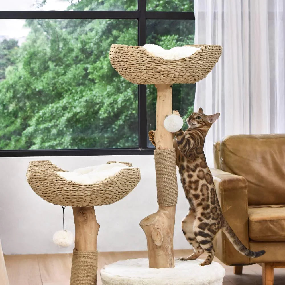 Selected Real Wood Cat Tree - Large