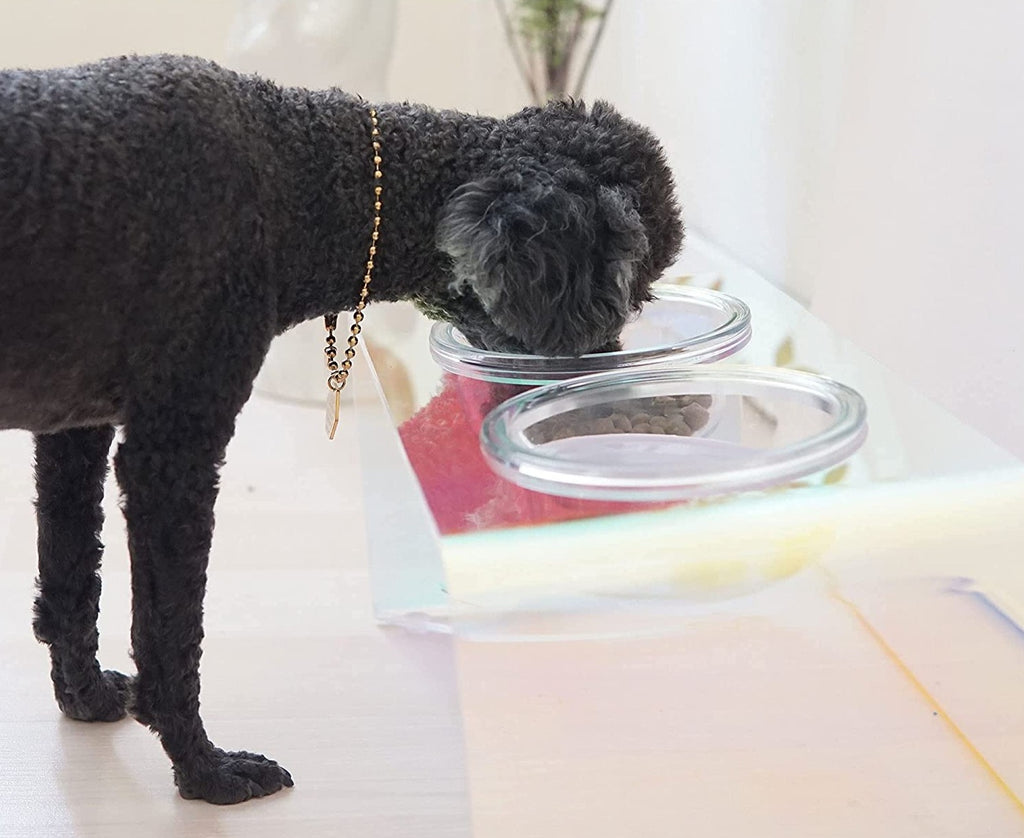 The Holographic Aurora Elevated Pet Feeding Table-House Of Pets Delight