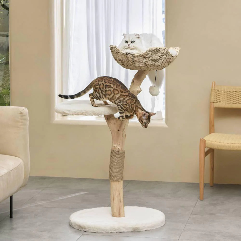 Selected Real Wood Cat Tree - Medium