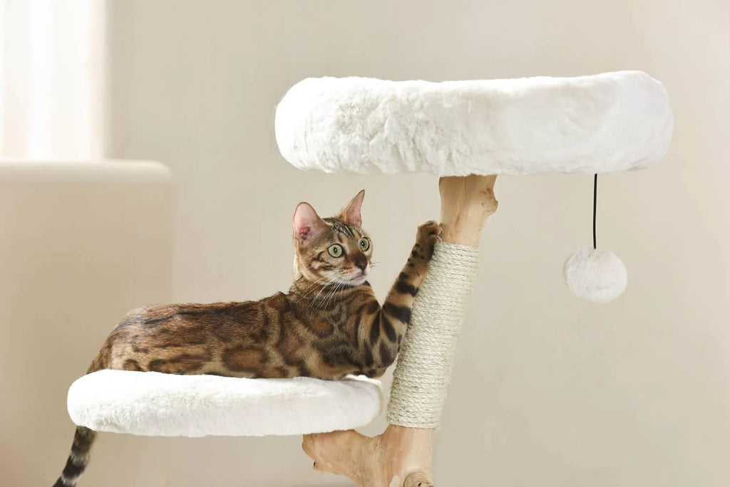 Selected Real Wood Cat Tree - Small