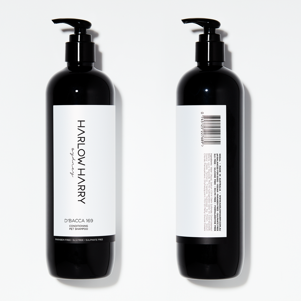 CONDITIONING SHAMPOO | D'BACCA 169-Harlow Harry