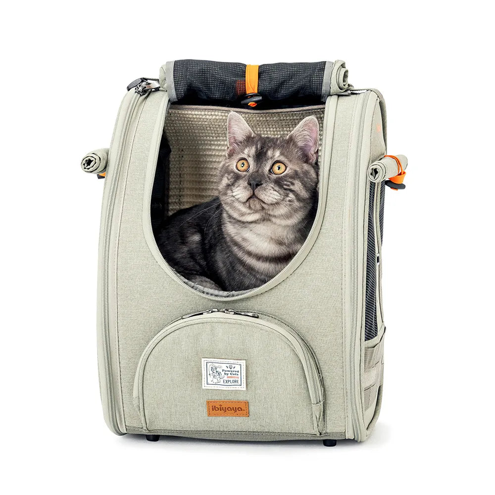 Adventure Cat & Small Dog Carrier Backpack