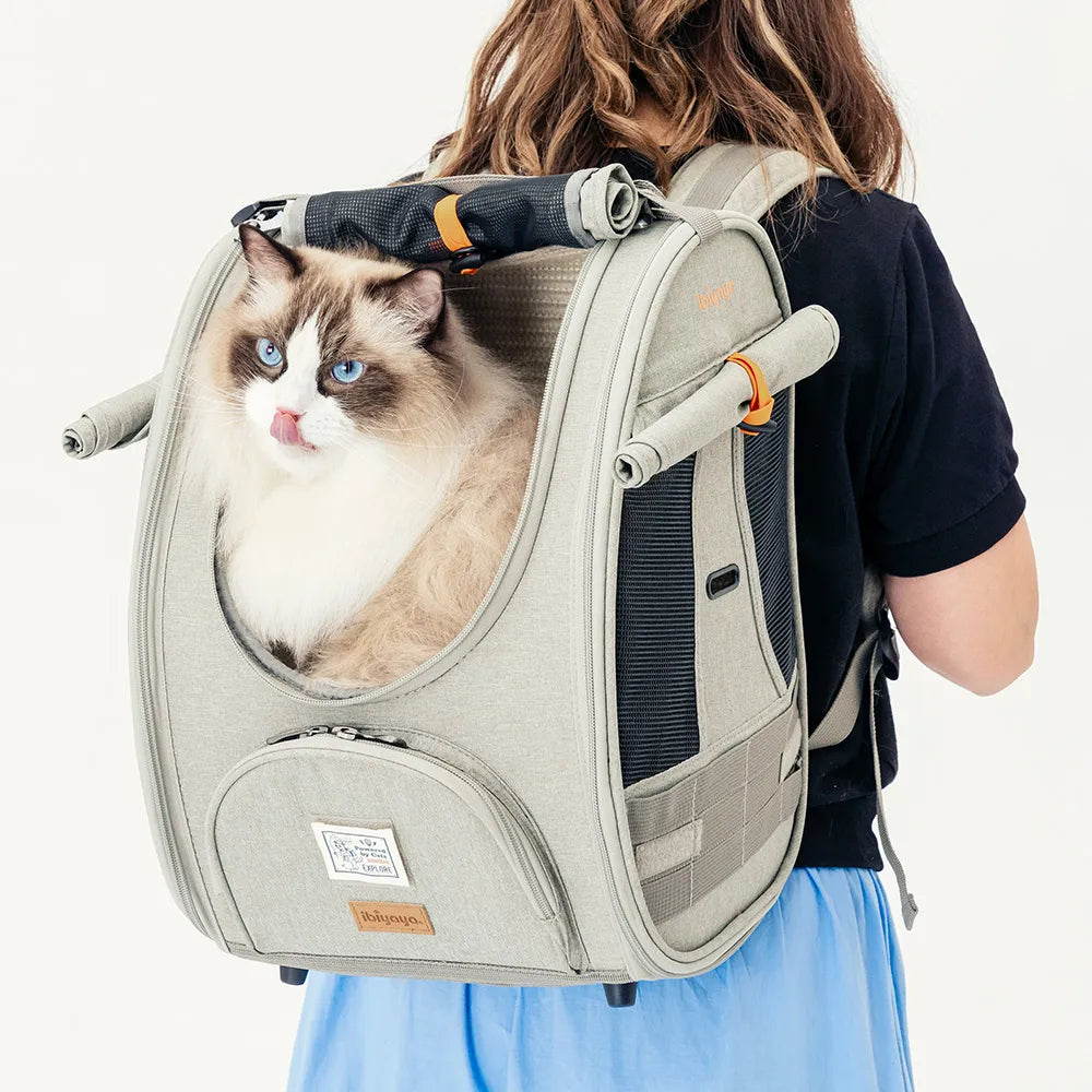 Adventure Cat & Small Dog Carrier Backpack