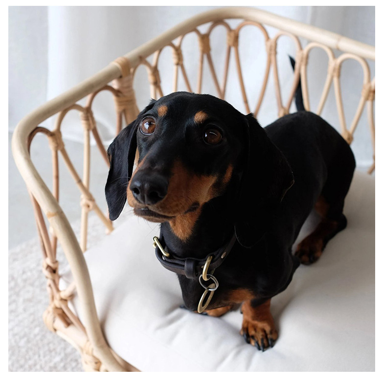 The Saski Rattan Dog Bed - Pre Order-House of Pets Delight