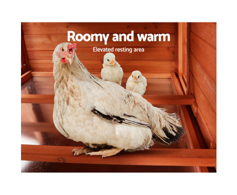 XL Pet Chicken Rabbit Hutch with Large Run-House of Pets Delight
