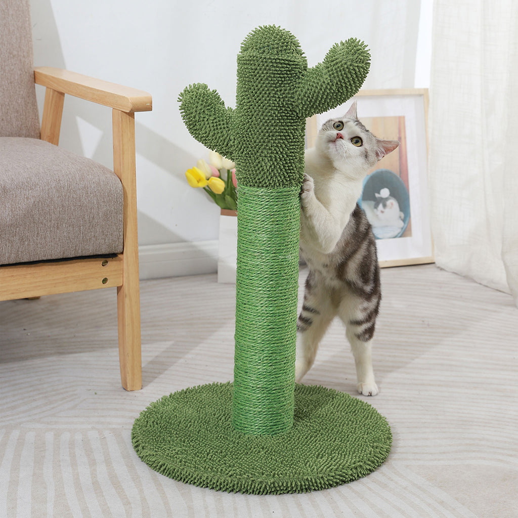 Standalone Cactus Cat Climber Scratch Pole