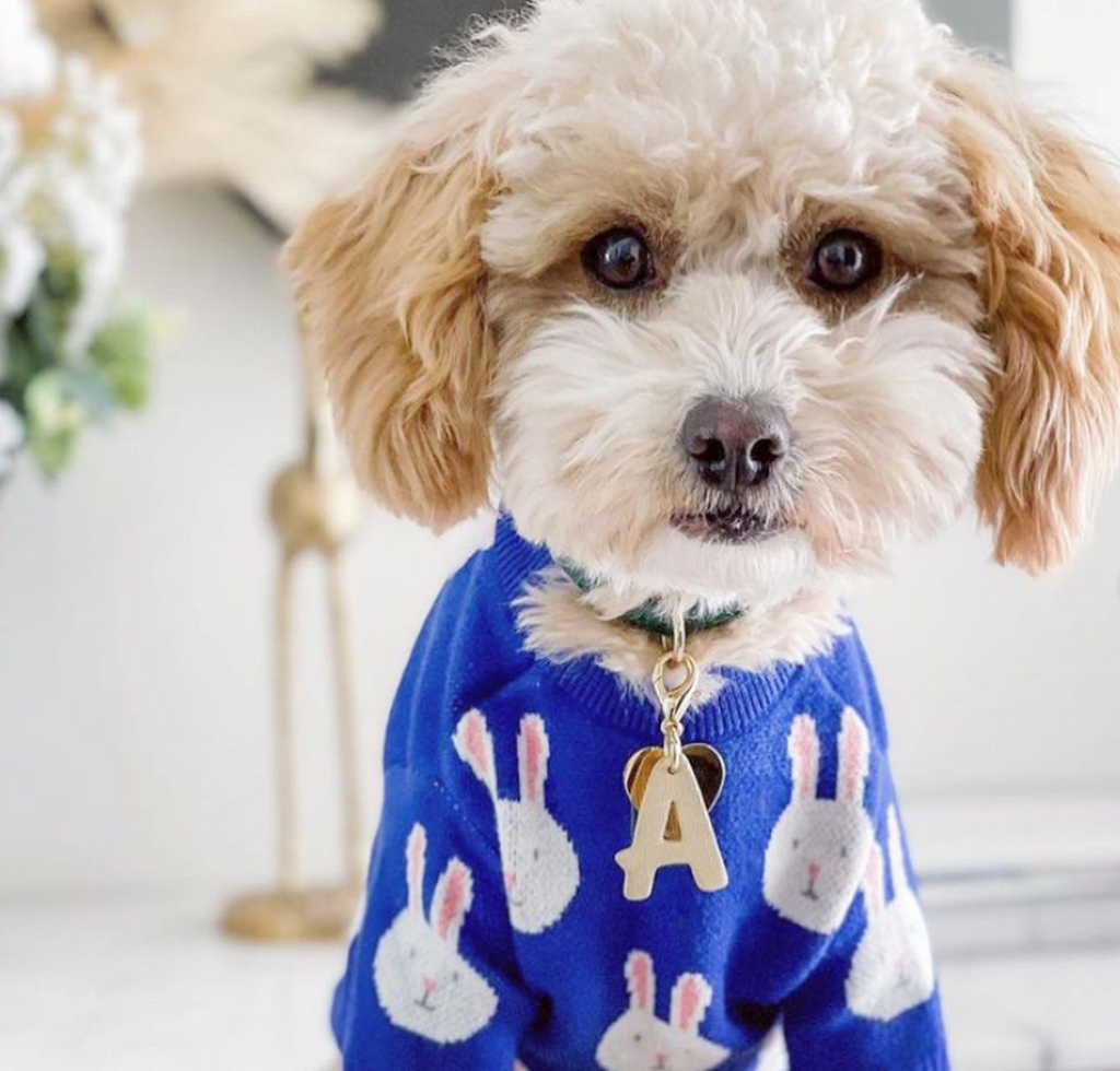 Rabbit Print Dog Sweater - Blue-House Of Pets Delight