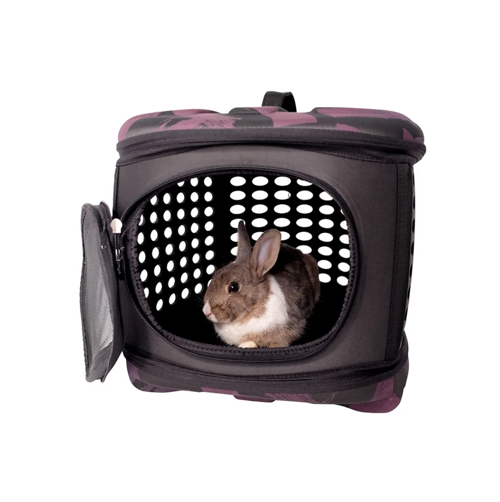 Collapsible Traveling Pet Hand Carrier in Stardust