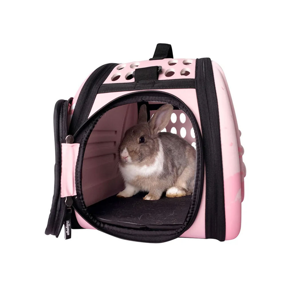 Classic Collapsible Shoulder Pet Carrier in Pink Sunset