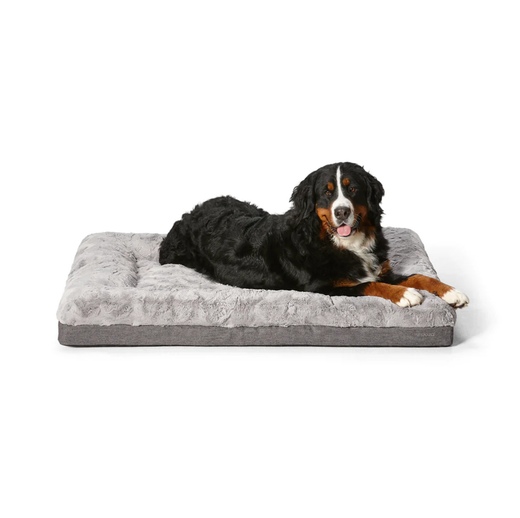 Snooza – Ultra Comfort Dog Lounge