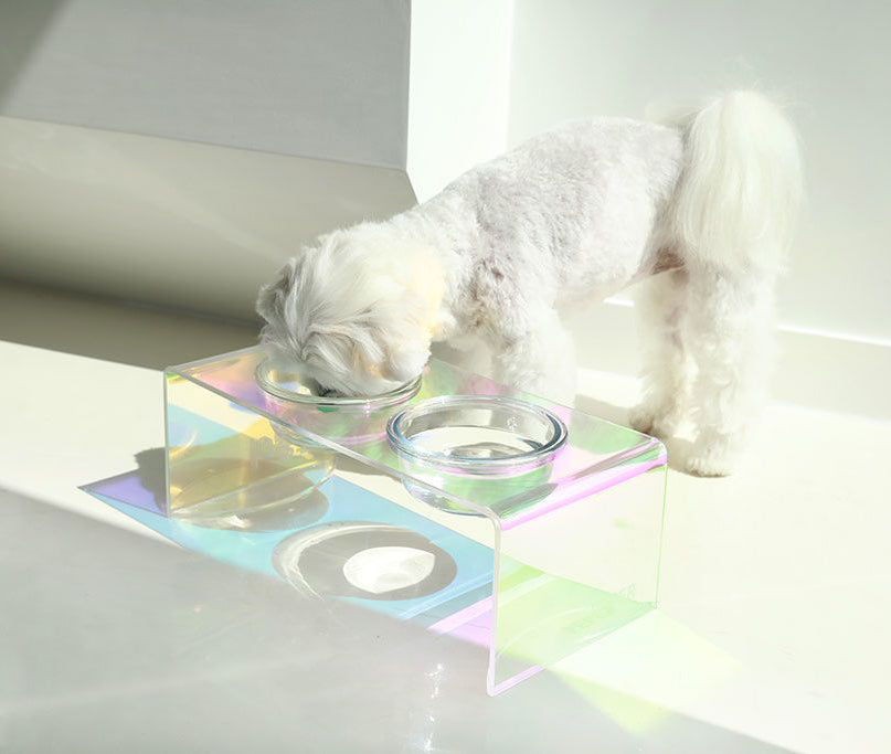 The Holographic Aurora Elevated Pet Feeding Table-House Of Pets Delight