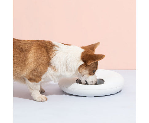 6 Meal Automatic Pet Food Dispenser with Programmable Timer - White