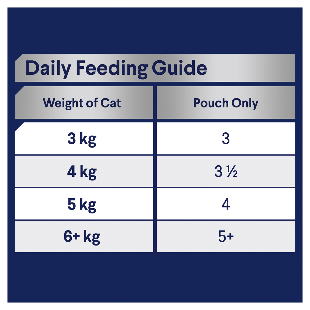 Adult Ocean Fish In Jelly Wet Cat Food Pouches 12X85G