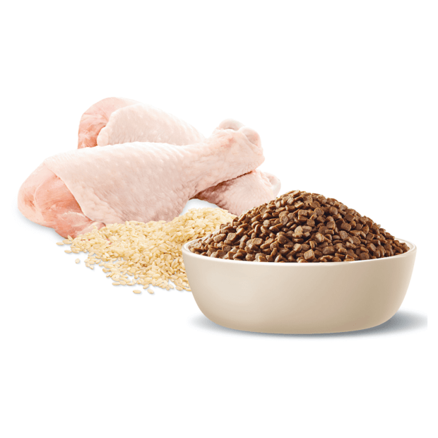 Kitten Dry Cat Food Chicken With Rice