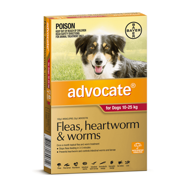 ADVOCATE DOG 10-25KG RED 6 FLEA WORM... - House of Pets Delight